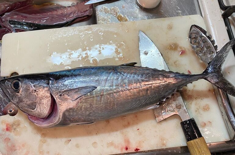 7EE12D40-80EE-4069-96B1-3A190DCBA39C