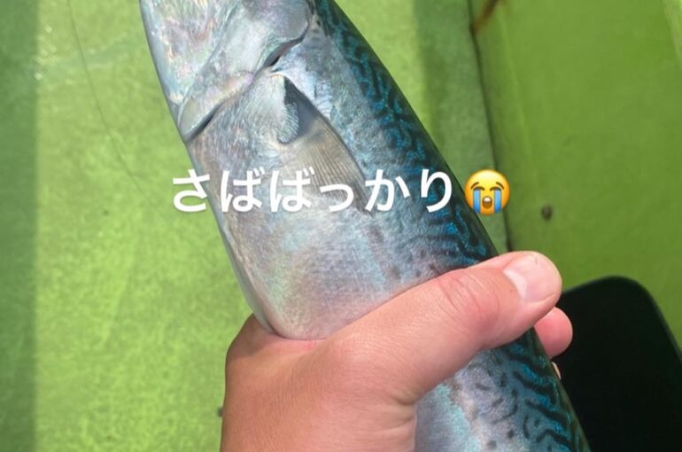 C26338F8-C25A-496F-8D13-46F304AA62E3