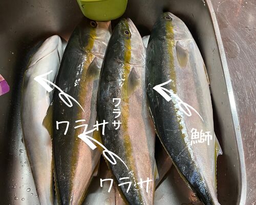 E49378D8-28A5-41CA-9ED4-4B01335AF7D2