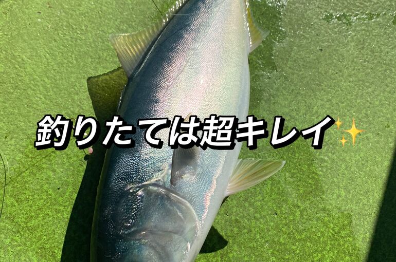 775EF0C3-6F6F-47EC-872B-4320FF3E7116