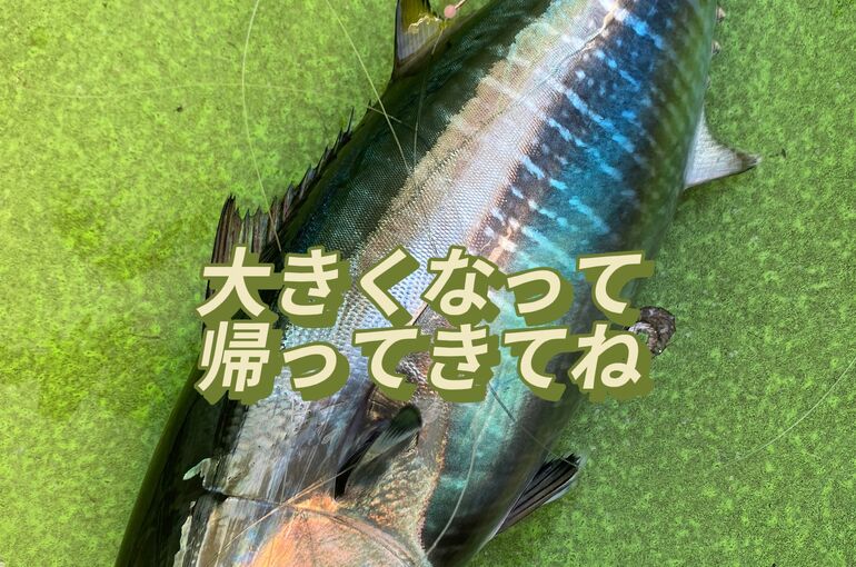 F8B773E9-ACDB-416C-B91A-632FEB33ABF1