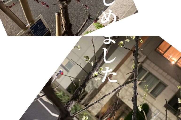 C80465F6-0550-4597-96D7-FED8FCDC3726