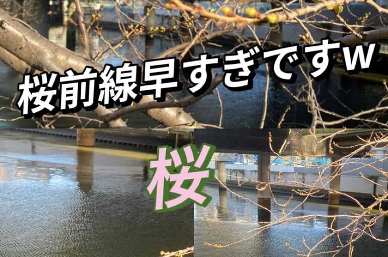 7605301A-C271-42E3-A608-8D1F4A5FE8B1