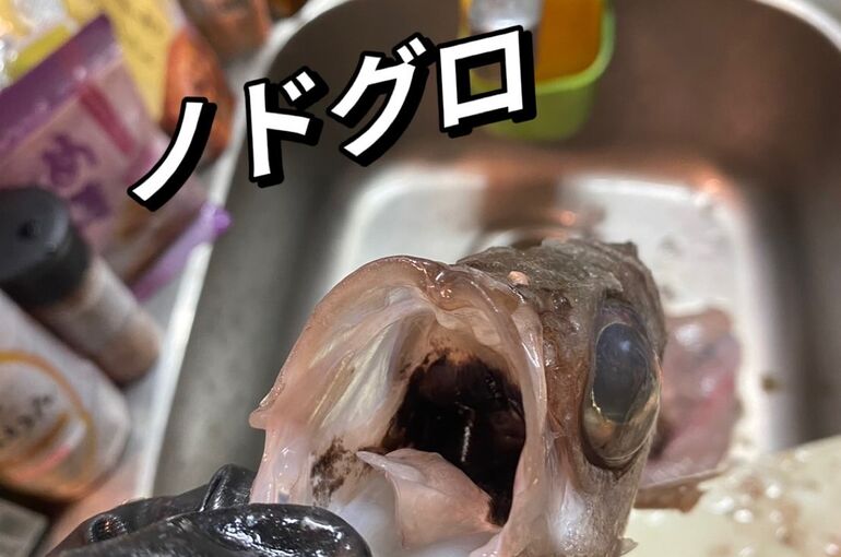 CA79F9EC-4211-4750-82A8-4D4FE6265678