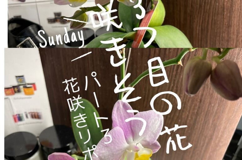 7D0B7417-B933-47B8-8F50-3A9C2DB1298C