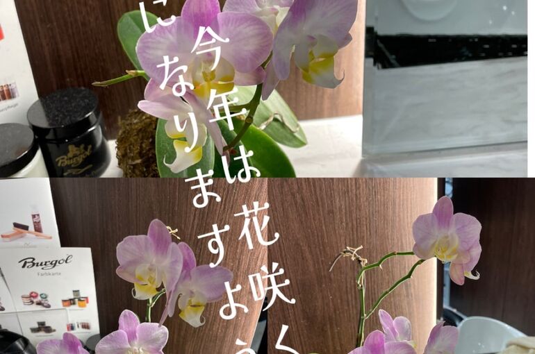 884E391D-7D94-4A8B-AD7D-FDFD9DD6D0B3