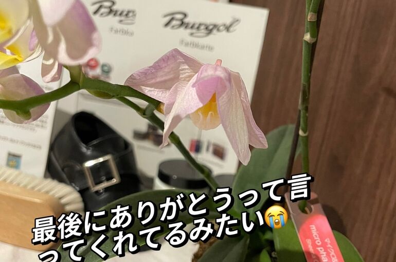 E791837B-E2B0-4E27-ADF4-DB90F8C959FF