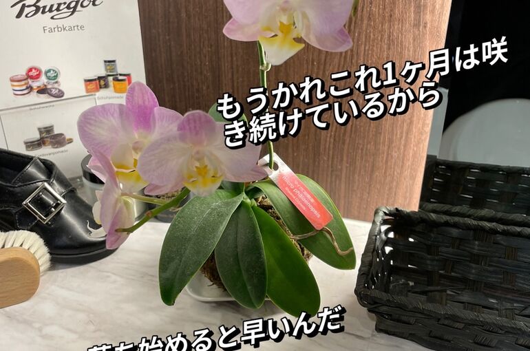 D2FF8F21-AB9D-429F-8E0D-0E133E1ABEFE