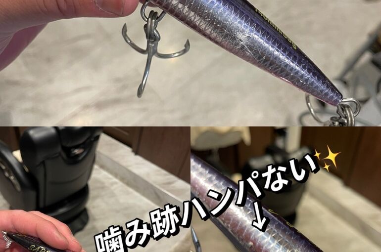 A83722FD-3927-4537-9A1E-A752515366A3