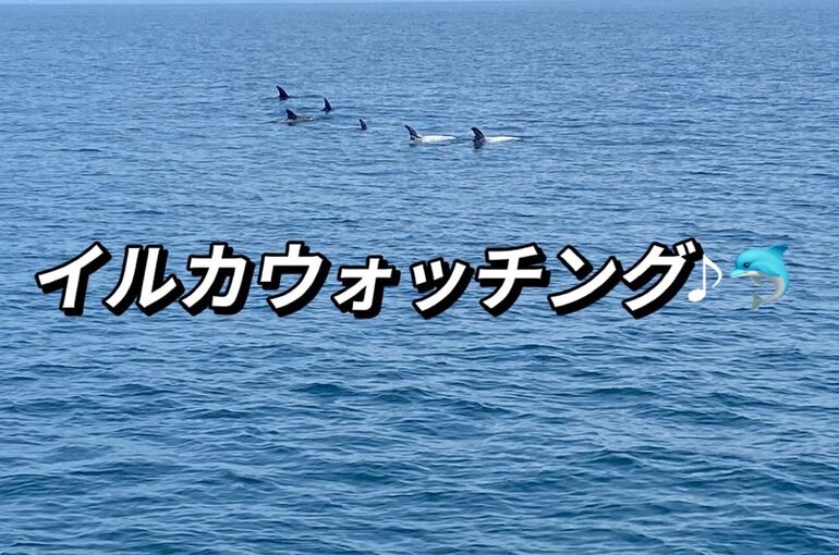 04A152FE-619B-495B-B455-681D4FA69CF1
